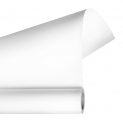 Autopole