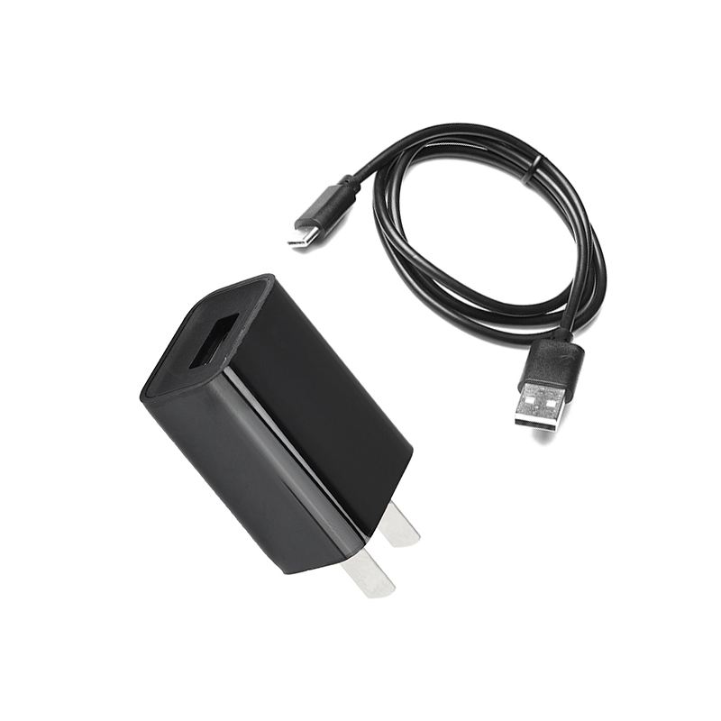 VC-1 Chargeur AC pour flash V1