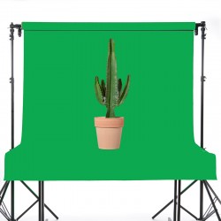 Fond vinyle Chromakey Vert