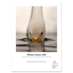 Photo Luster 290g - 24p