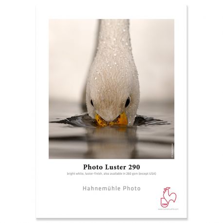 Photo Luster 290g - 44p Photo Luster 290g - 44p