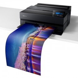 OFFRE EXCEPTIONNELLE sur Imprimante A2 EPSON SC_P-800 – Fédération  Photographique de France