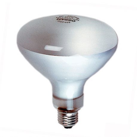Lampe Photoflood 500 W Lampe Photoflood 500 W