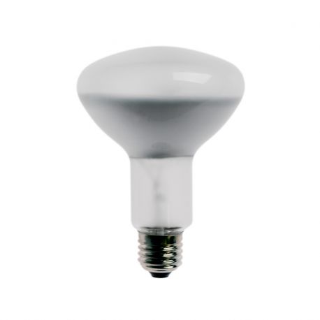 Lampe Photoflood 150 W Lampe Photoflood 150 W