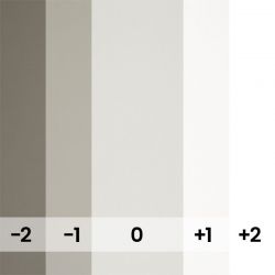 PHOTO GRAY - 153-A1