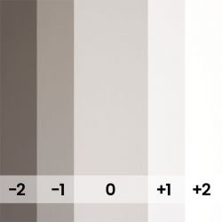 PURSUIT GRAY - 123-A2