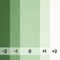 SPRING GREEN- 174-A1