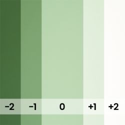 SPRING GREEN- 174-A2