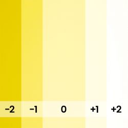 LIGHT YELLOW- 193-A2