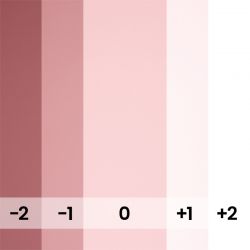 PASTEL PINK- 117-A7