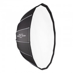 Beauty Dish Switch Argent 36