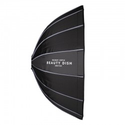 Beauty Dish Switch Argent 36 (90cm)