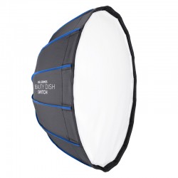 Beauty Dish Switch Argent 24