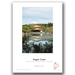 Sugar Cane 300g - 17p