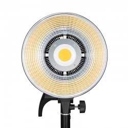 SL100D Torche Led COB 100W