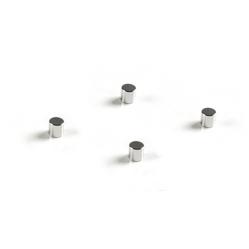 Aimants Neodymium (4 pièces)