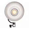 L60-B Torche Led COB Bi-Color 60W