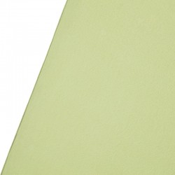 Fond stretch Light Moss Green - 2.70 x 3 m