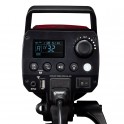 Flash studio 300 Ws - Lampe pilote Led 10W