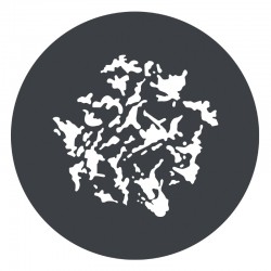 GP-GS1 Gobo set 1 - 6 pièces MG1200BI