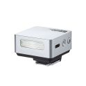 iT20-F (silver)