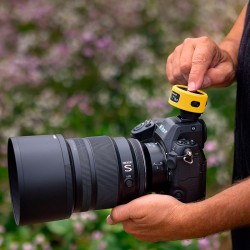 FJ-T1 Bumper Noir-Jaune