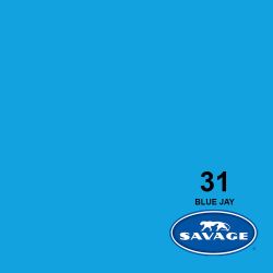 Blue Jay (31-1253)