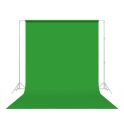 Tech Green (46-12)