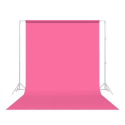 Tulip (37-12)