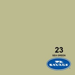 Sea Green (23-1253)