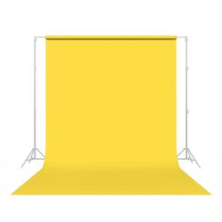 Canary (38-12)